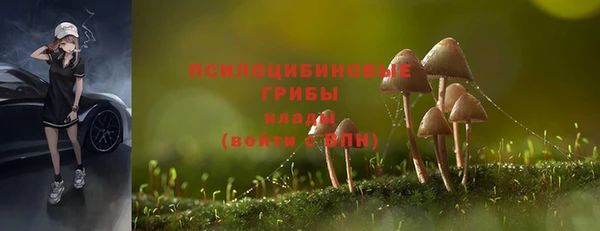 эйфоретик Липки
