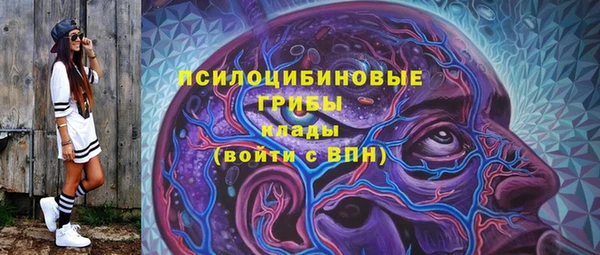 эйфоретик Липки
