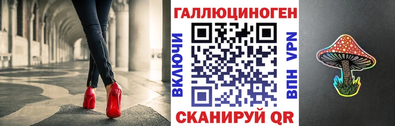 Псилоцибиновые грибы Psilocybine cubensis Питкяранта